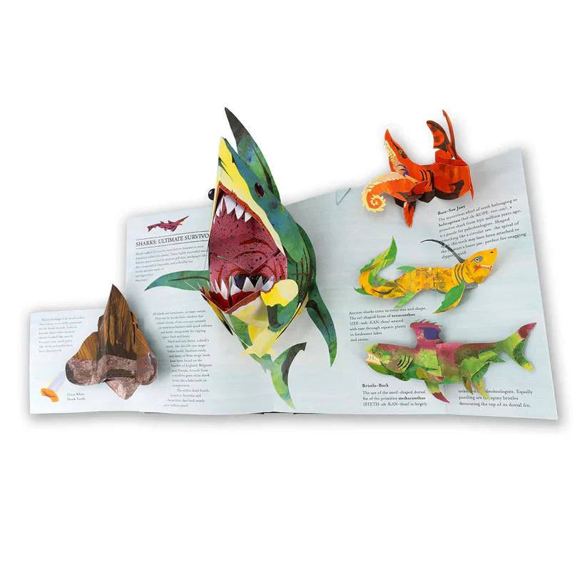 🦖3D Encyclopedia Prehistorica Dinosaurs-Ignite Kids' Intellectual Enlightenment Journey! 📚